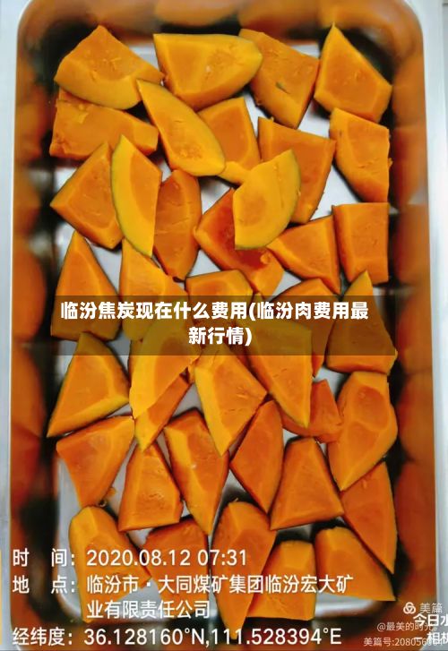 临汾焦炭现在什么费用(临汾肉费用最新行情)