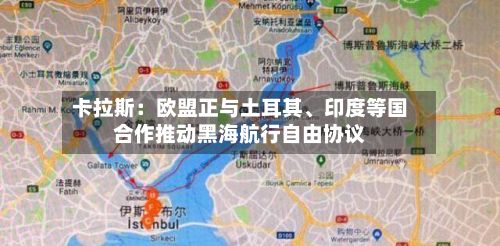 卡拉斯：欧盟正与土耳其	、印度等国合作推动黑海航行自由协议-第2张图片