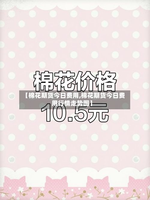 【棉花期货今日费用,棉花期货今日费用行情走势图】-第2张图片