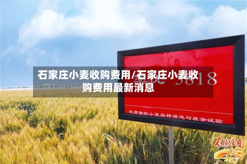 石家庄小麦收购费用/石家庄小麦收购费用最新消息-第2张图片