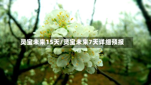 灵宝未来15天/灵宝未来7天详细预报-第3张图片