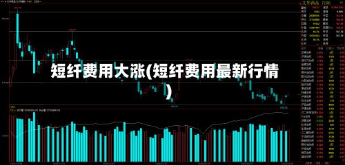 短纤费用大涨(短纤费用最新行情)