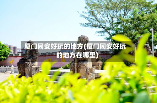 厦门同安好玩的地方(厦门同安好玩的地方在哪里)