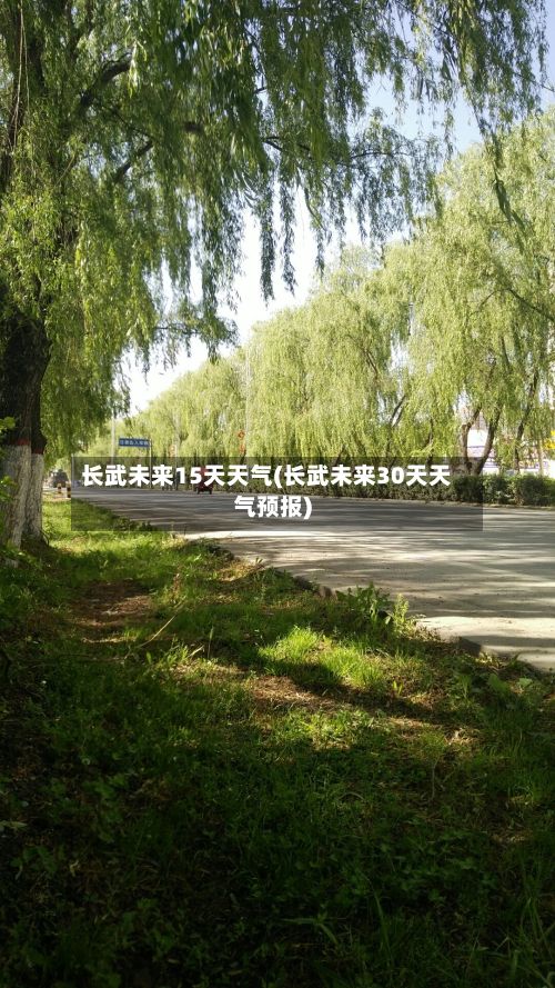 长武未来15天天气(长武未来30天天气预报)