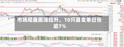 市场尾盘震荡拉升，10只基金单日涨逾7%-第3张图片