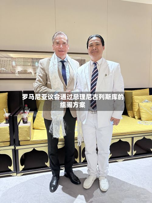 罗马尼亚议会通过总理尼古列斯库的组阁方案-第3张图片