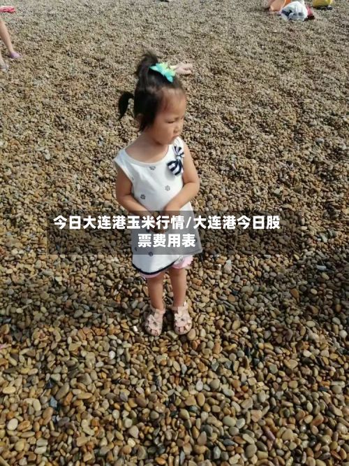 今日大连港玉米行情/大连港今日股票费用表