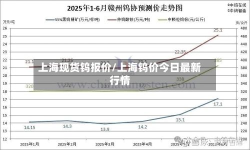 上海现货钨报价/上海钨价今日最新行情