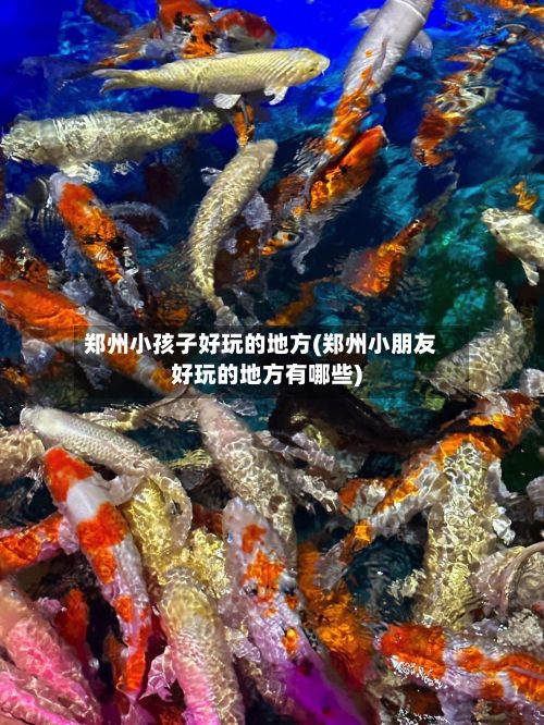郑州小孩子好玩的地方(郑州小朋友好玩的地方有哪些)-第2张图片