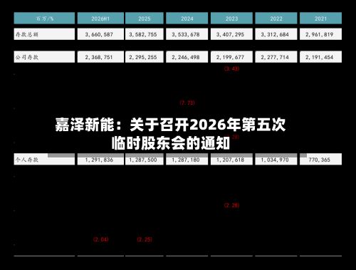 嘉泽新能：关于召开2026年第五次临时股东会的通知
