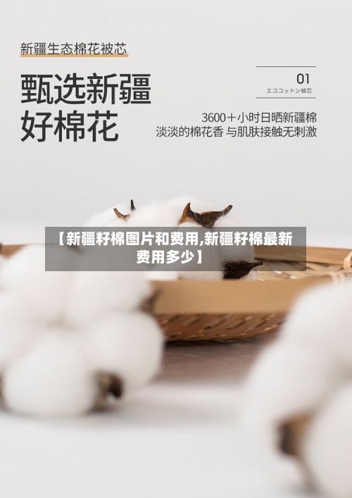 【新疆籽棉图片和费用,新疆籽棉最新费用多少】