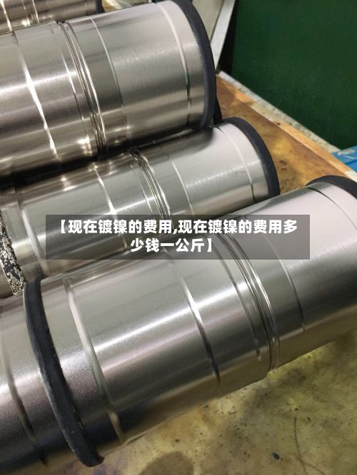 【现在镀镍的费用,现在镀镍的费用多少钱一公斤】-第2张图片