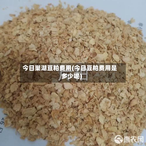 今日巢湖豆粕费用(今日豆粕费用是多少呢)-第3张图片