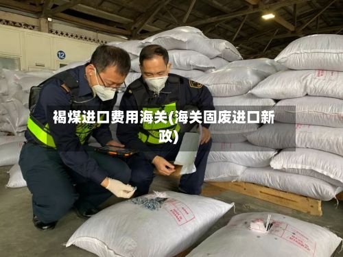 褐煤进口费用海关(海关固废进口新政)-第2张图片
