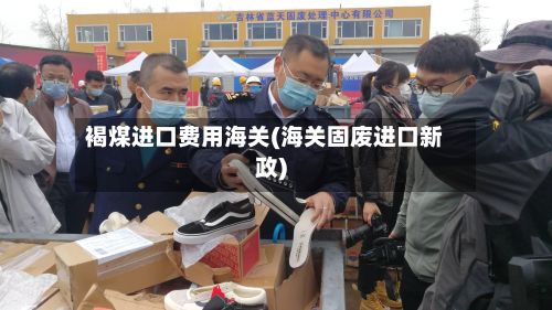 褐煤进口费用海关(海关固废进口新政)