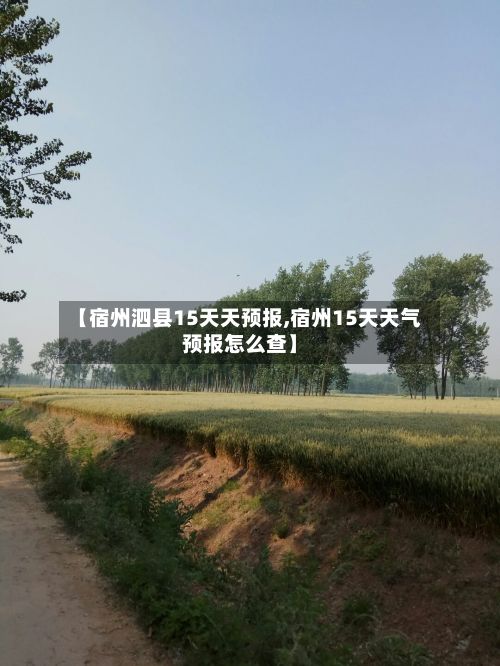 【宿州泗县15天天预报,宿州15天天气预报怎么查】
