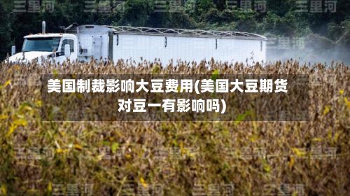 美国制裁影响大豆费用(美国大豆期货对豆一有影响吗)-第2张图片