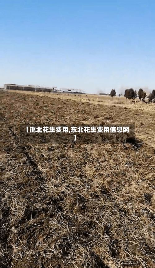 【洮北花生费用,东北花生费用信息网】-第2张图片