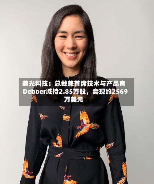 美光科技：总裁兼首席技术与产品官Deboer减持2.85万股，套现约2569万美元-第3张图片