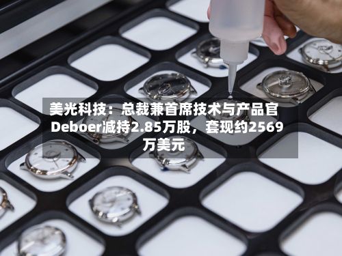 美光科技：总裁兼首席技术与产品官Deboer减持2.85万股，套现约2569万美元-第2张图片