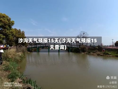 沙沟天气预报15天(沙沟天气预报15天查询)