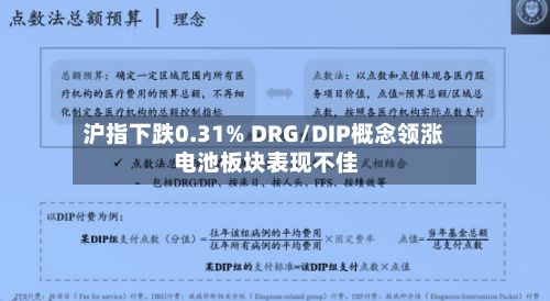 沪指下跌0.31% DRG/DIP概念领涨 电池板块表现不佳