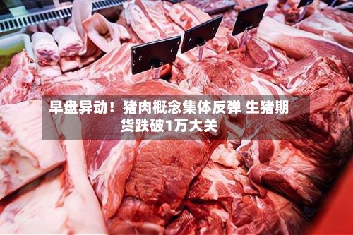 早盘异动！猪肉概念集体反弹 生猪期货跌破1万大关-第1张图片