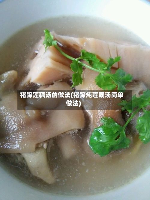 猪蹄莲藕汤的做法(猪蹄炖莲藕汤简单做法)
