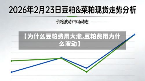 【为什么豆粕费用大涨,豆粕费用为什么波动】-第3张图片