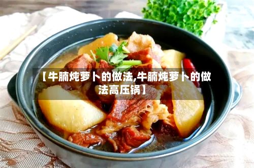 【牛腩炖萝卜的做法,牛腩炖萝卜的做法高压锅】