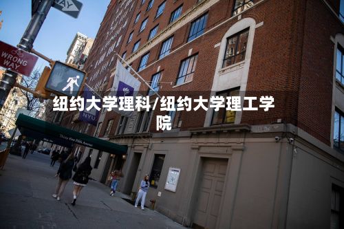 纽约大学理科/纽约大学理工学院
