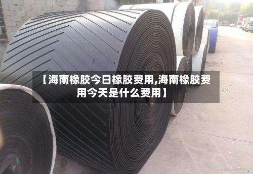 【海南橡胶今日橡胶费用,海南橡胶费用今天是什么费用】-第2张图片