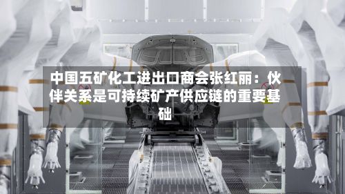 中国五矿化工进出口商会张红丽:伙伴关系是可持续矿产供应链的重要基础-第2张图片