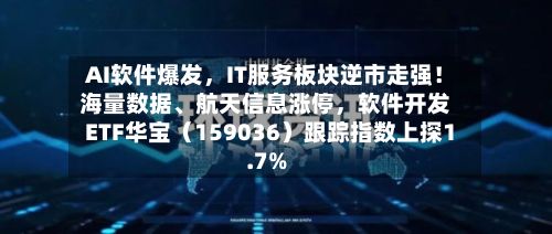 AI软件爆发	，IT服务板块逆市走强！海量数据	、航天信息涨停，软件开发ETF华宝（159036）跟踪指数上探1.7%-第2张图片