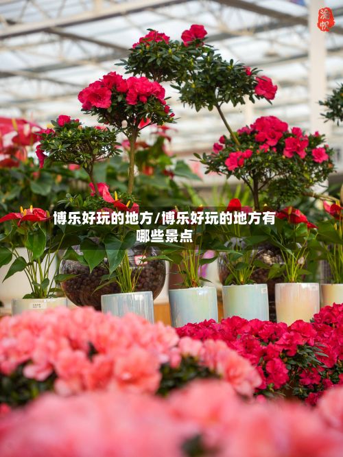 博乐好玩的地方/博乐好玩的地方有哪些景点-第2张图片