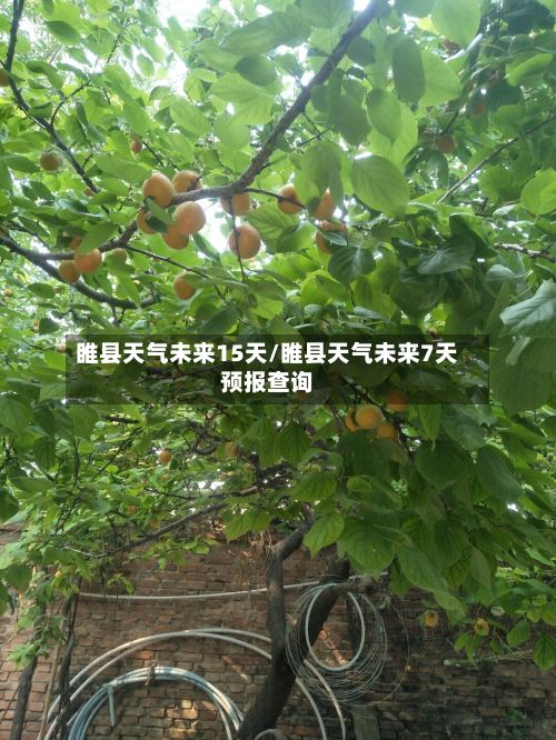 睢县天气未来15天/睢县天气未来7天预报查询