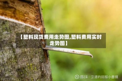 【塑料现货费用走势图,塑料费用实时走势图】