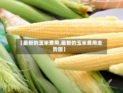 【最新的玉米费用,最新的玉米费用走势图】-第2张图片