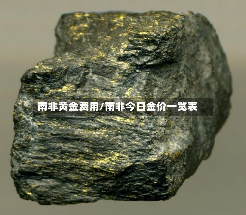 南非黄金费用/南非今日金价一览表-第2张图片