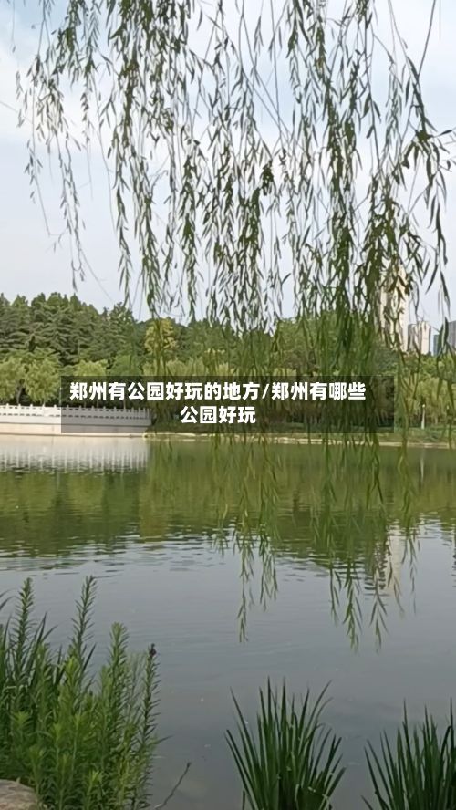 郑州有公园好玩的地方/郑州有哪些公园好玩