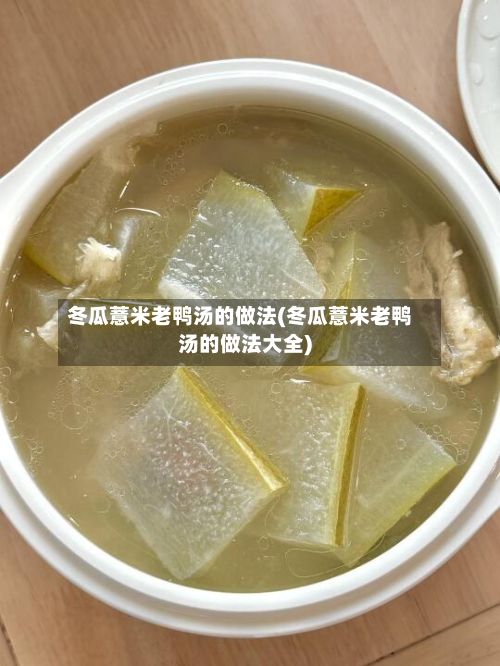 冬瓜薏米老鸭汤的做法(冬瓜薏米老鸭汤的做法大全)