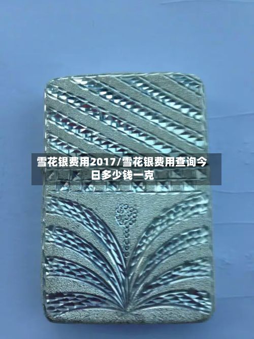 雪花银费用2017/雪花银费用查询今日多少钱一克-第3张图片