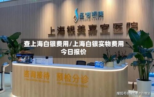 查上海白银费用/上海白银实物费用今日报价-第2张图片