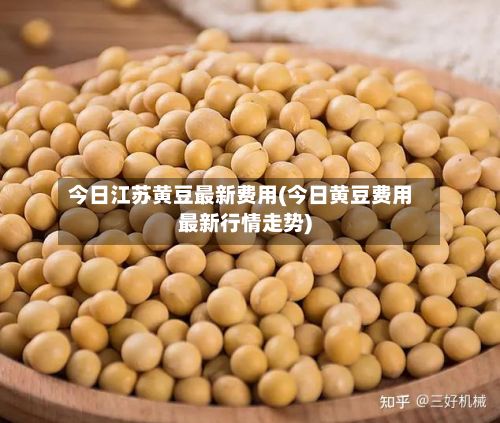 今日江苏黄豆最新费用(今日黄豆费用最新行情走势)
