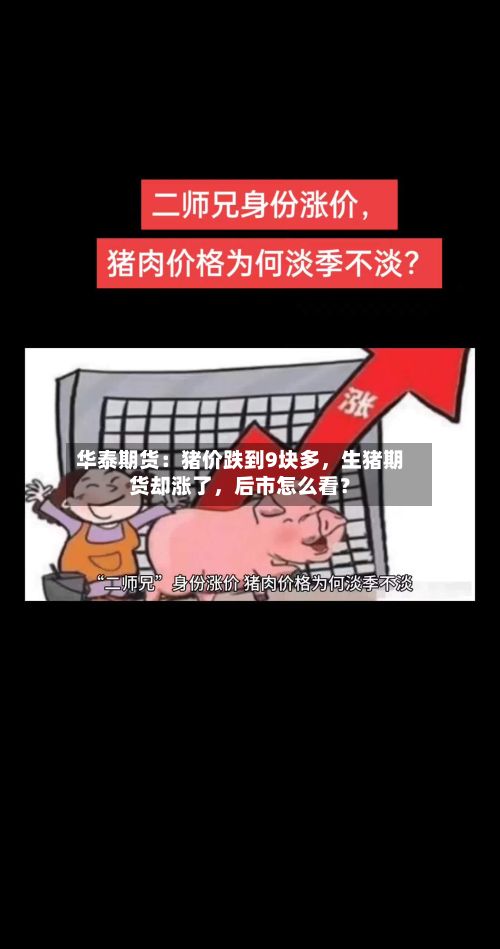 华泰期货：猪价跌到9块多，生猪期货却涨了，后市怎么看？-第2张图片