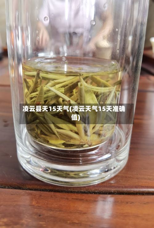 凌云县天15天气(凌云天气15天准确值)