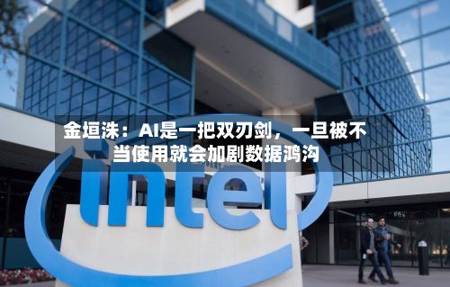 金垣洙：AI是一把双刃剑，一旦被不当使用就会加剧数据鸿沟-第2张图片