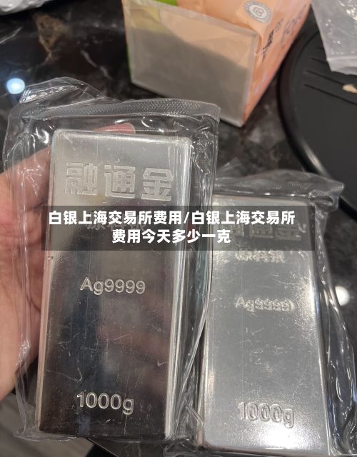 白银上海交易所费用/白银上海交易所费用今天多少一克-第3张图片