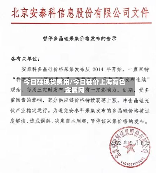今日硅现货费用/今日硅价上海有色金属网