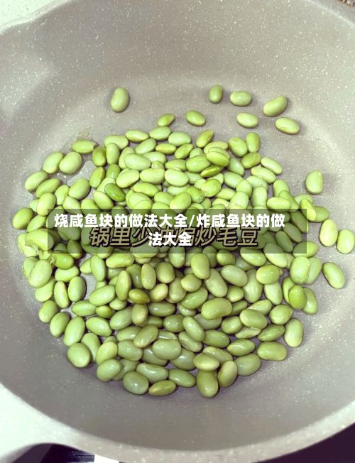 烧咸鱼块的做法大全/炸咸鱼块的做法大全